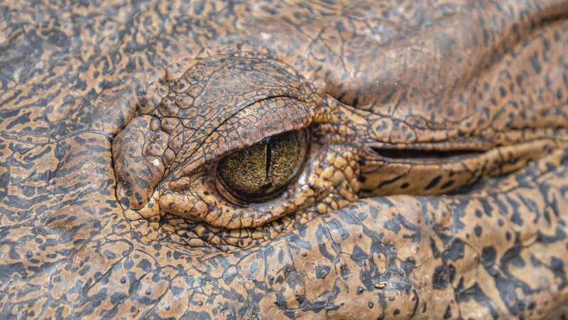 Puerto Escondido: Oaxaca Coast Wildlife Ecotour - A quick look at Zipolite Beach