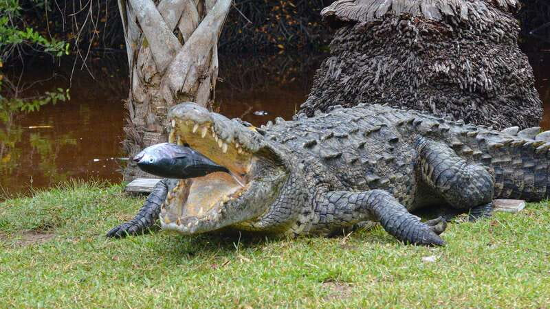 Puerto Escondido: Oaxaca Coast Wildlife Ecotour - How much the $50 price really covers