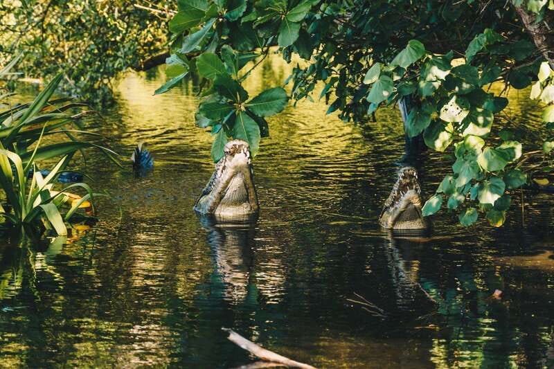 Puerto Escondido: Oaxaca Coast Wildlife Ecotour - The timing: eight hours with plenty of road time