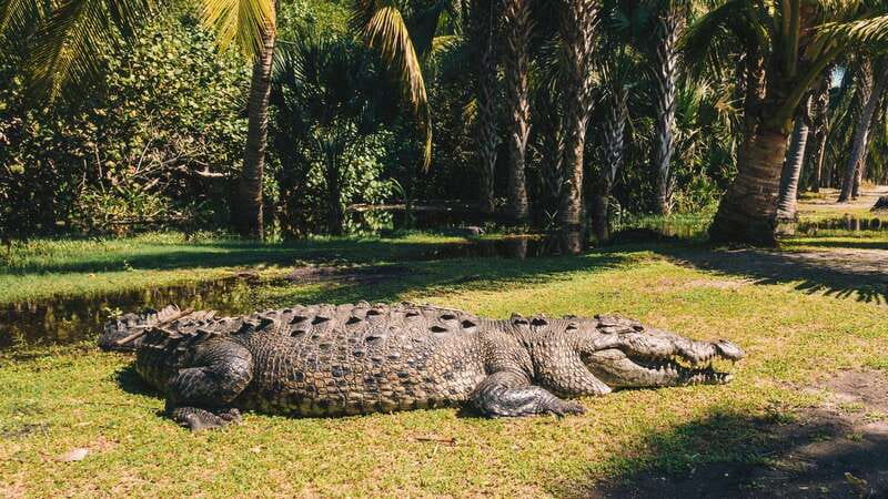 Puerto Escondido: Oaxaca Coast Wildlife Ecotour - The road from Puerto Escondido to the reserve