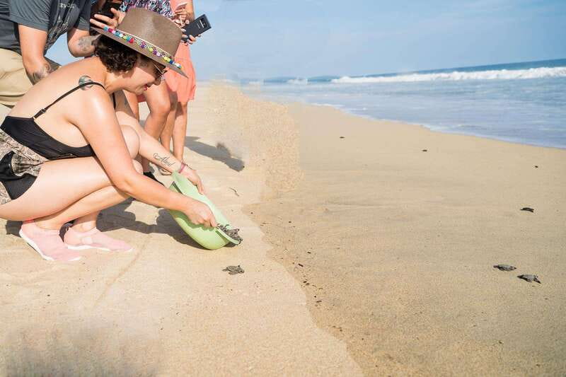 Puerto Escondido: Turtle Release Experience - Key points to know before you book