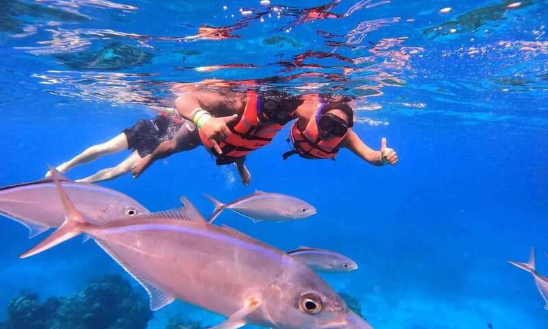 Puerto Morelos: Guided Snorkeling Tour with Gear & Fees - Setting out from Javier Rojo Gomez
