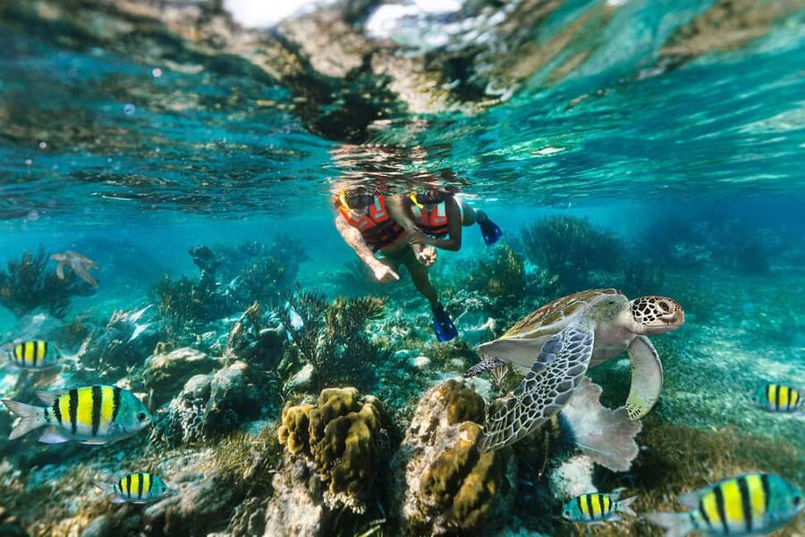 Puerto Morelos: National Reef Park Snorkeling & Beach Lunch - Why Puerto Morelos is a smart snorkeling base