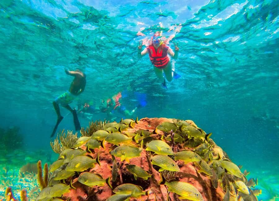 Puerto Morelos: National Reef Park Snorkeling & Beach Lunch - The guides shape the experience
