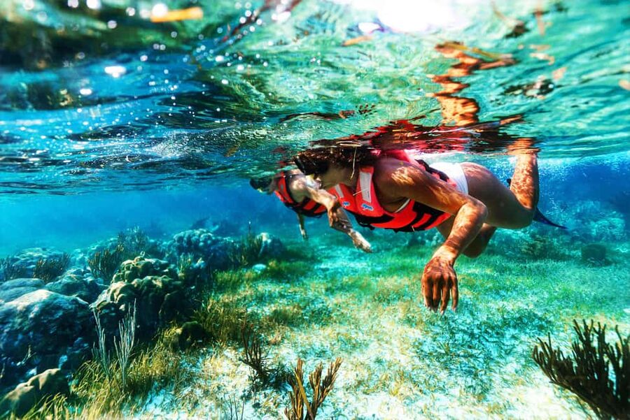 Puerto Morelos: National Reef Park Snorkeling & Beach Lunch - Tacos and a beach club view