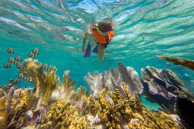 Puerto Morelos Reef Snorkeling Tour with Lunch & Hotel Pickup - Lunch at the Puerto Morelos Fish Market