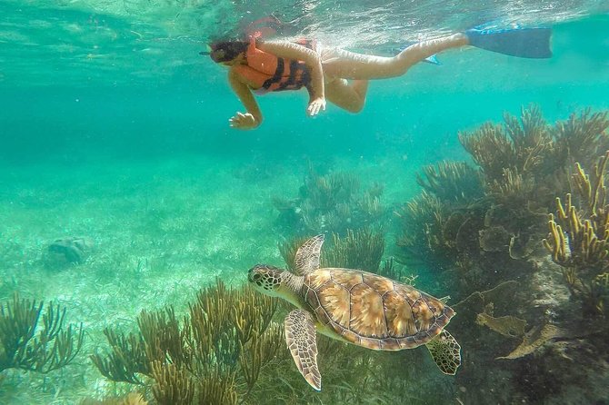 Puerto Morelos Reef Snorkeling Tour with Lunch & Hotel Pickup - The real schedule has two clocks