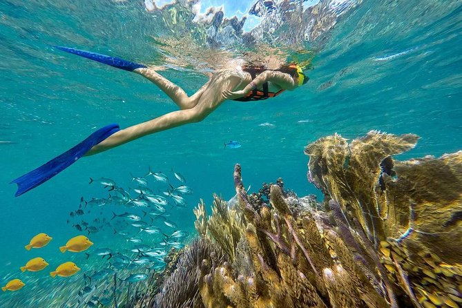 Puerto Morelos Reef Snorkeling Tour with Lunch & Hotel Pickup - Two reef sites, with conditions that can change