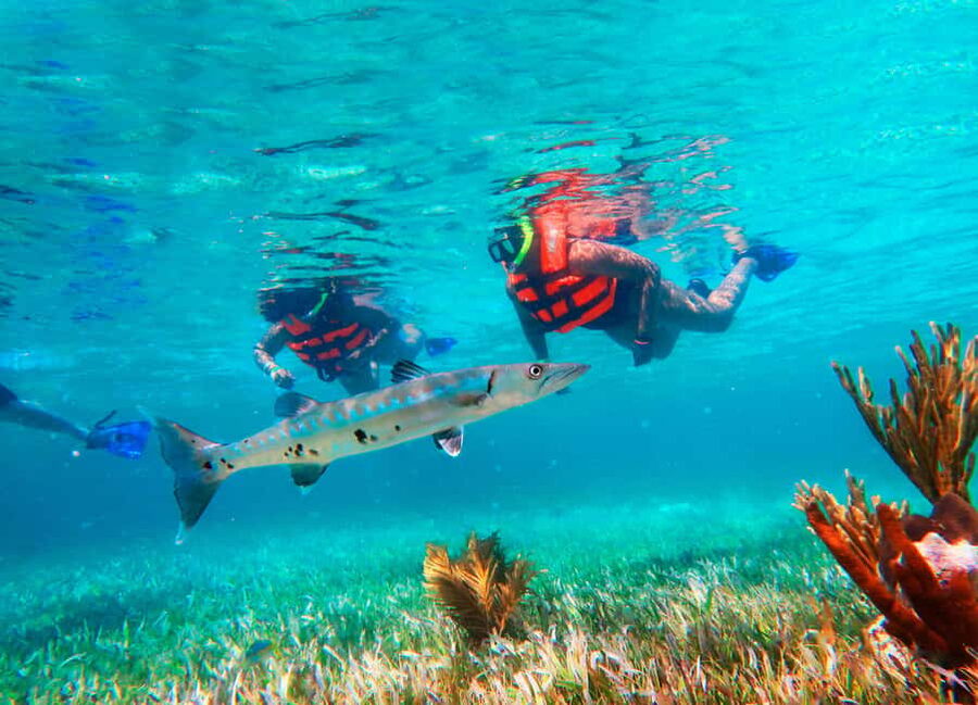 Puerto Morelos: Snorkel, Town Walk, Tequila & Beach Lunch - Key points to know before you book