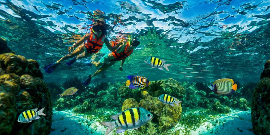 Puerto Morelos: Snorkel, Town Walk, Tequila & Beach Lunch - Why Puerto Morelos makes a good reef day