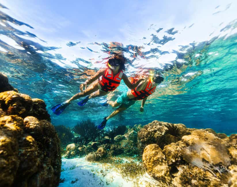 Puerto Morelos: Snorkel, Town Walk, Tequila & Beach Lunch - The 80-minute reef outing