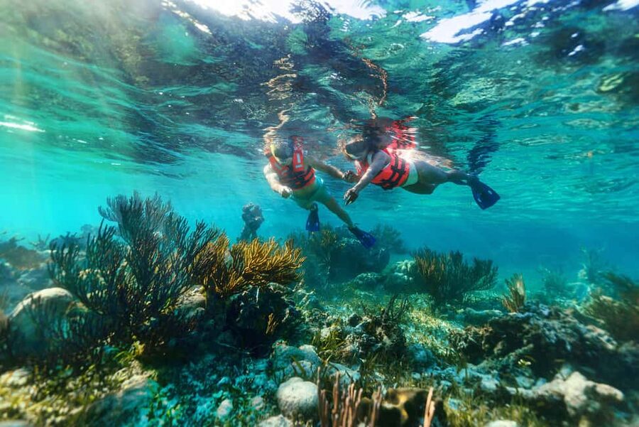 Puerto Morelos: Snorkel, Town Walk, Tequila & Beach Lunch - Tequila tasting after the water