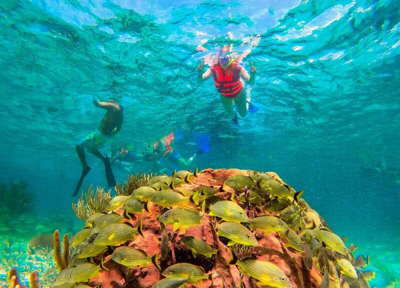 Puerto Morelos: Snorkel, Town Walk, Tequila & Beach Lunch - Three tacos beside the beach