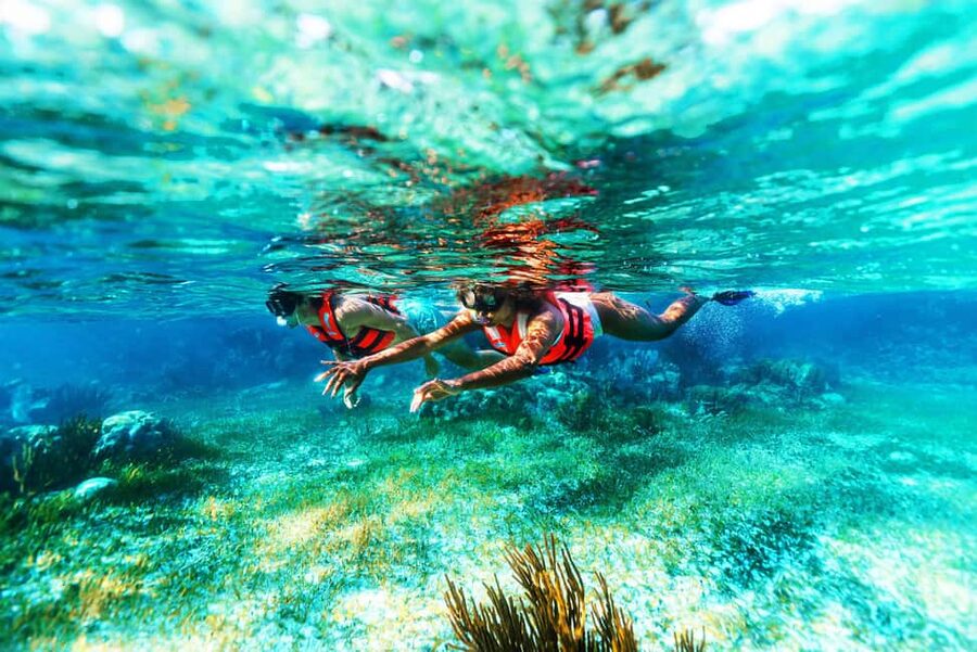 Puerto Morelos: Snorkel, Town Walk, Tequila & Beach Lunch - Weather, safety, and backup plans