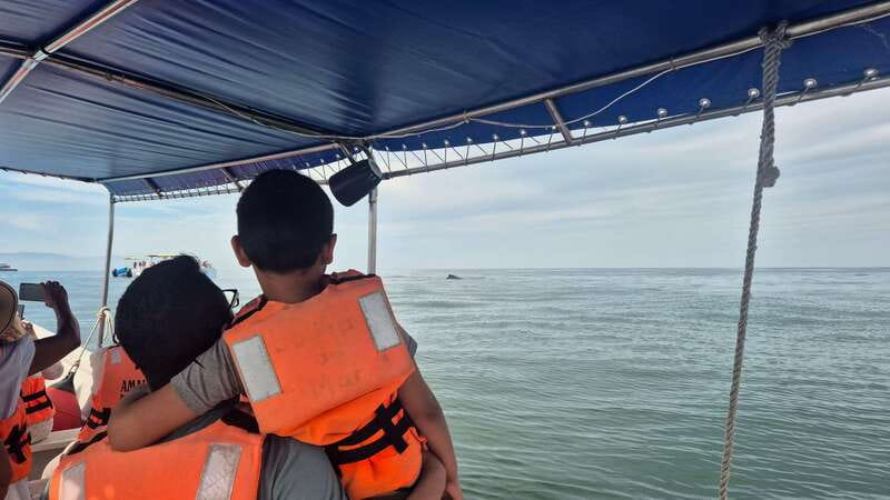 Puerto Vallarta: 3-Hour Whale Watching and Snorkeling - Should you reserve the whale and snorkeling trip?