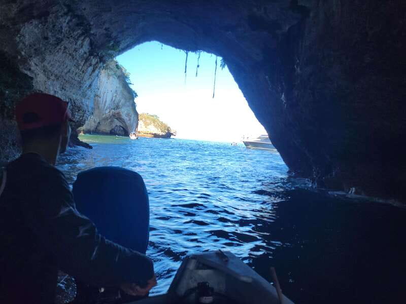 Puerto Vallarta: 3-Hour Whale Watching and Snorkeling - FAQ
