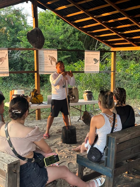 Puerto Vallarta: Baby Turtle Release in Conservation Area - What you learn at the 45-minute campsite visit