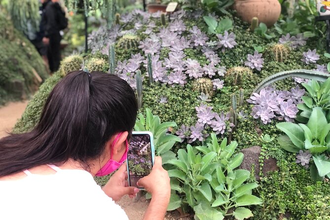Puerto Vallarta Botanical Gardens Hiking Tour - From orchids to the Horcones River
