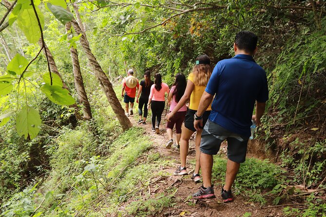 Puerto Vallarta Botanical Gardens Hiking Tour - Is $102 a fair price?