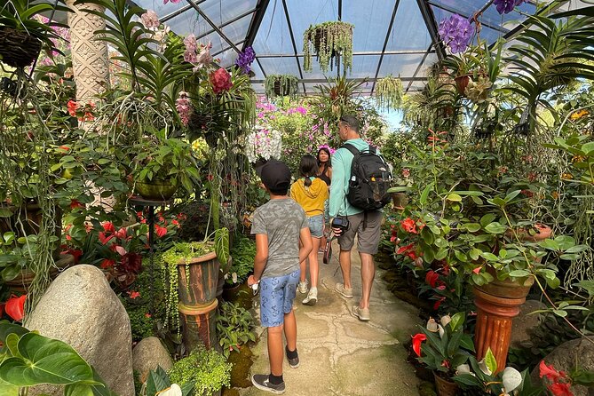 Puerto Vallarta Botanical Gardens Hiking Tour - Who will enjoy this tour most?