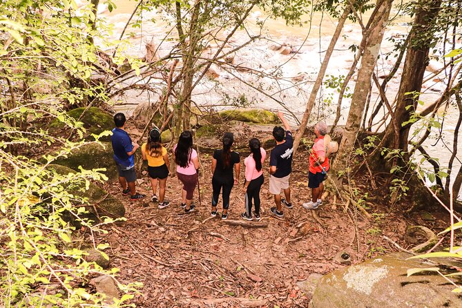 Puerto Vallarta Botanical Gardens Hiking Tour - Weather, cancellations, and practical limits