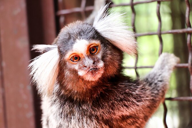 Puerto Vallarta Botanical Gardens Hiking Tour - What makes Los Veranos worth the second half of the day