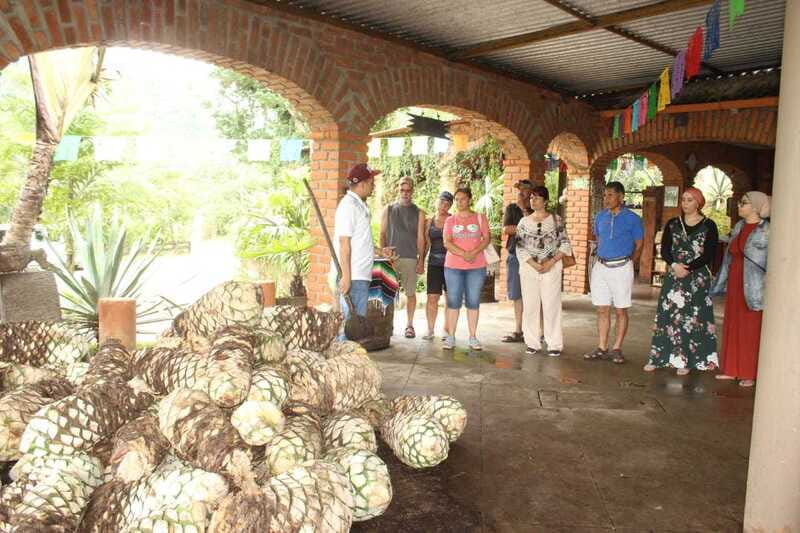 Puerto Vallarta: City Tour, Tequila and Coffee Factory Tour - Starting along the Puerto Vallarta Malecon