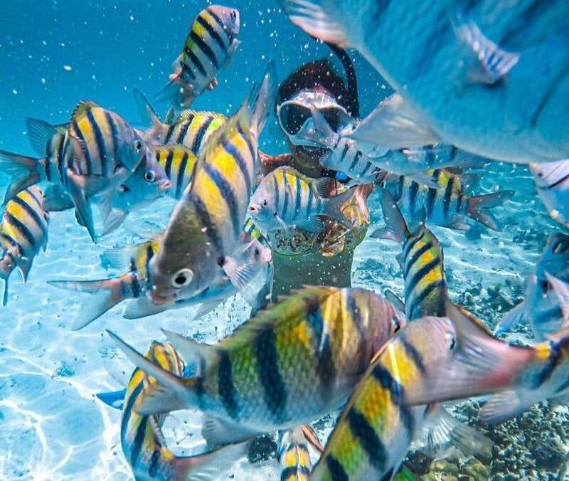 Puerto Vallarta: Los Arcos Islands Boat Tour and Snorkeling - Finding the OXXO meeting point in the old center