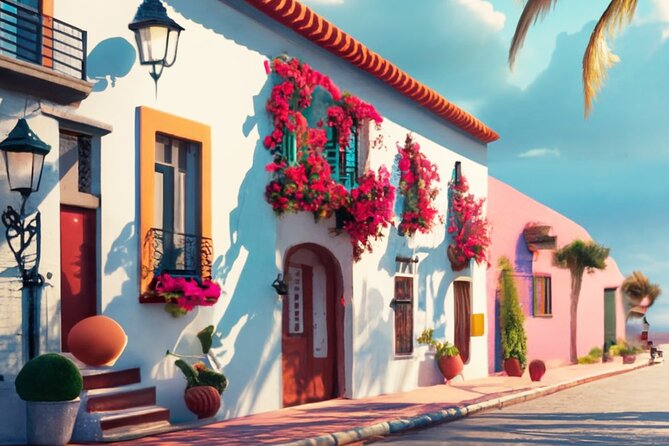 Puerto Vallarta VIP Promotional Tour - Walking the Malecón and historic center