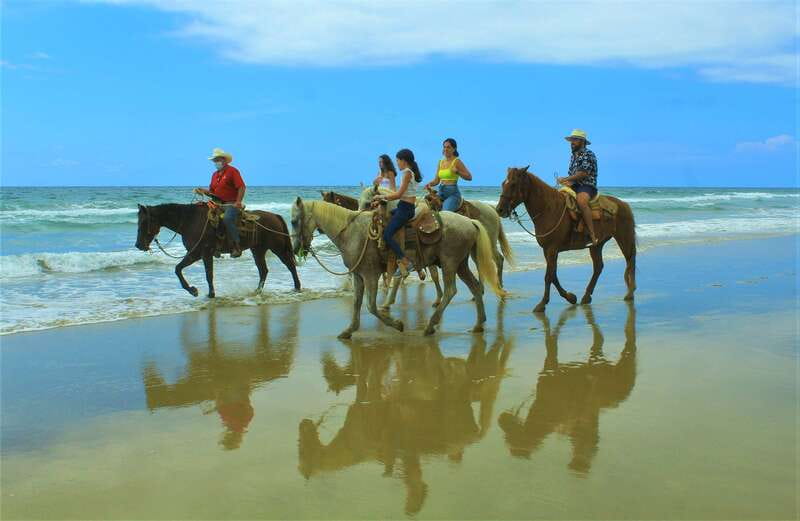 Punta de Mita/Sayulita: Horseback Riding Tour - Who will enjoy this horseback ride?