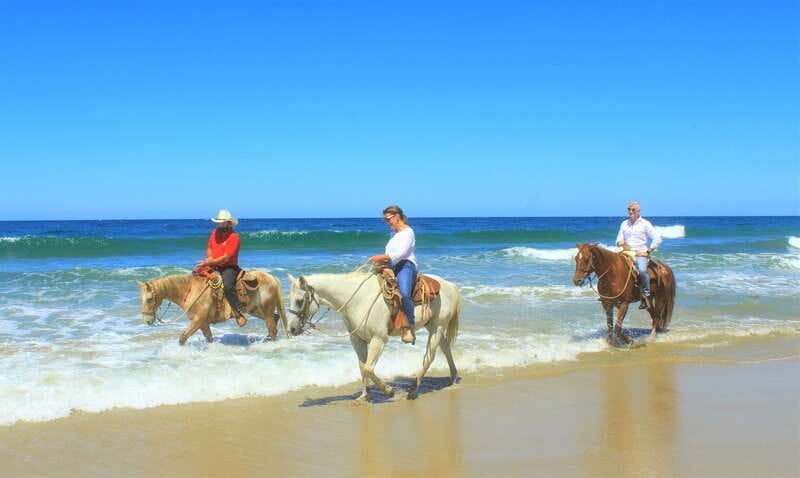 Punta de Mita/Sayulita: Horseback Riding Tour - The ranch animals add real character