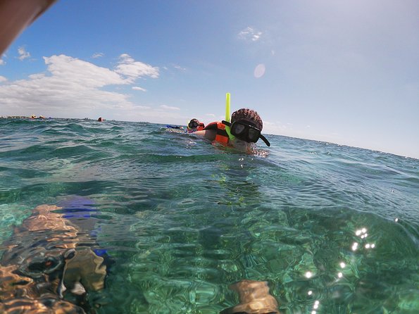 Reef Snorkel In National Park In Puerto Morelos With Lunch And Transportation - A reef outing that begins in Puerto Morelos