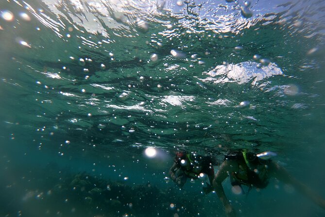 Reef Snorkel In National Park In Puerto Morelos With Lunch And Transportation - The sunscreen rule is stricter than expected