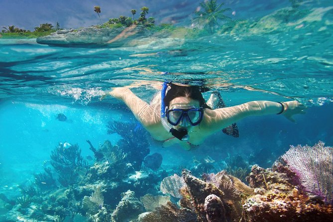 Reef Snorkel In National Park In Puerto Morelos With Lunch And Transportation - Walking through Puerto Morelos