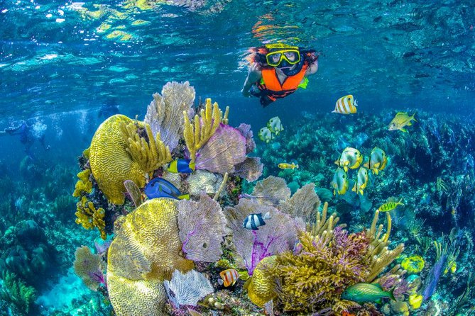 Reef Snorkel In National Park In Puerto Morelos With Lunch And Transportation - What the five-hour schedule really means