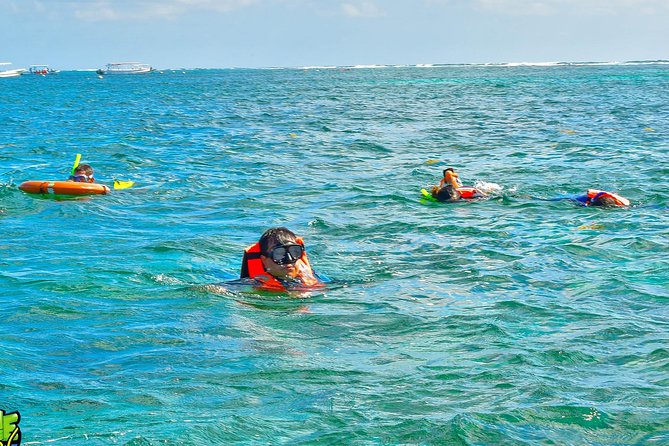 Reef Snorkeling in National Park from Cancun with Beachside Lunch - What the $44 price really covers