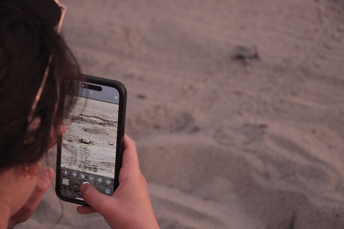 Release of Sea Turtles in Camp Tortuguero - The 45-minute conservation talk