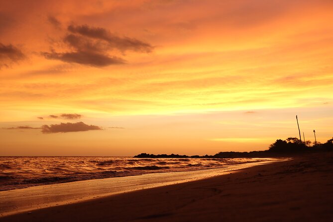Release of Sea Turtles in Camp Tortuguero - What the $41.82 price really covers