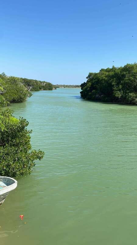 Rio Lagartos and Las Coloradas: Safari Flamingo Luxury - Key points to know before you go