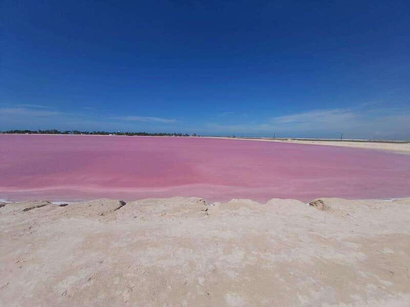 Rio Lagartos and Las Coloradas: Safari Flamingo Luxury - A private start in Río Lagartos