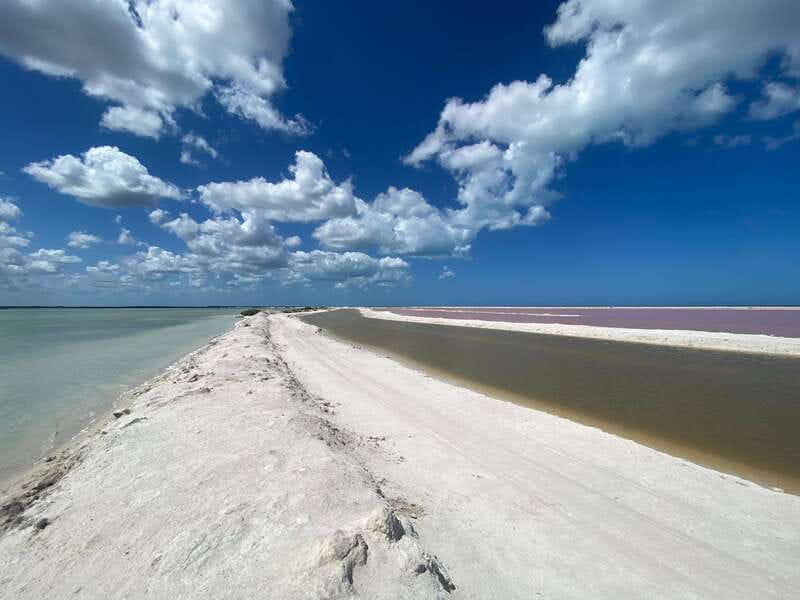 Rio Lagartos and Las Coloradas: Safari Flamingo Luxury - Flamingos in the Río Lagartos wetlands