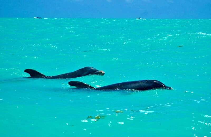 Rio Lagartos and Las Coloradas: Safari Flamingo Luxury - The Mayan clay bath and Gulf swim