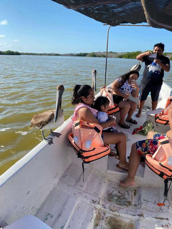 Rio Lagartos and Las Coloradas: Safari Flamingo Luxury - Guide quality makes the difference