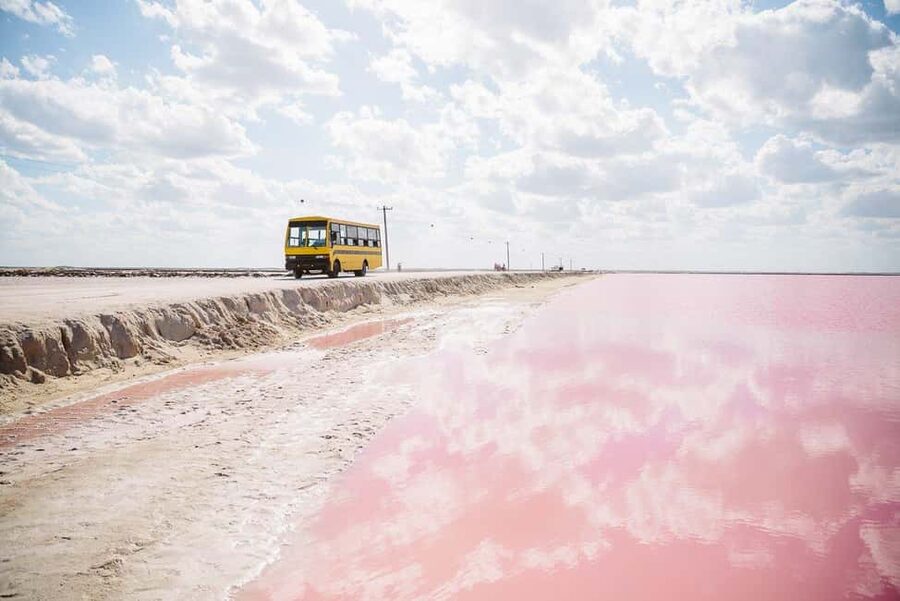 Rio Lagartos and Las Coloradas: Safari Flamingo Luxury - Who will enjoy this three-hour trip?