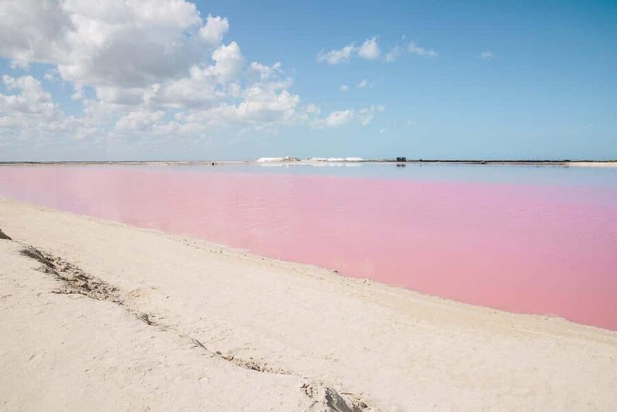 Río Lagartos and Las Coloradas: Wildlife Natural Experience - Key points at a glance