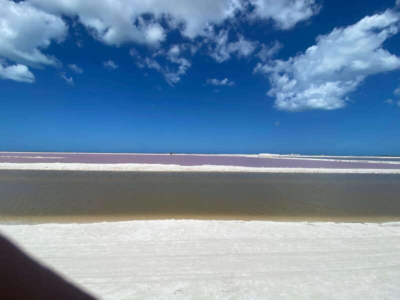 Río Lagartos and Las Coloradas: Wildlife Natural Experience - Should you book the Río Lagartos experience?