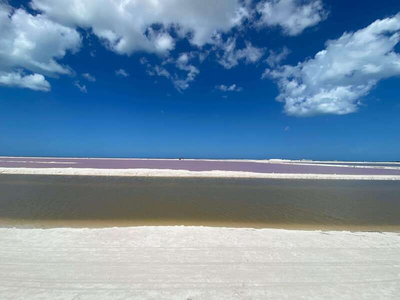 Río Lagartos and Las Coloradas: Wildlife Natural Experience - A private boat is the right way to see Río Lagartos