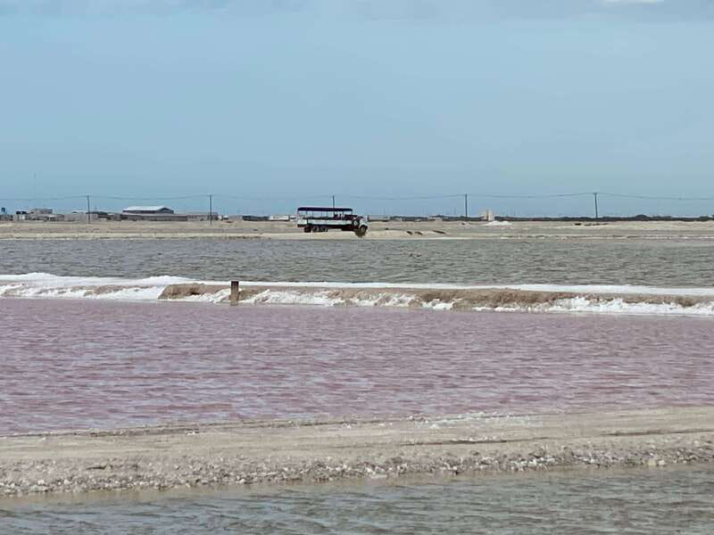 Río Lagartos and Las Coloradas: Wildlife Natural Experience - Cenote, fish spa, and the Mayan clay bath