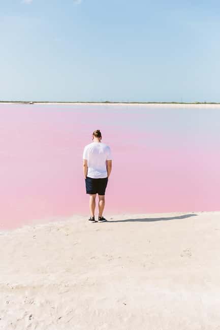 Río Lagartos and Las Coloradas: Wildlife Natural Experience - A quiet Gulf beach closes the route