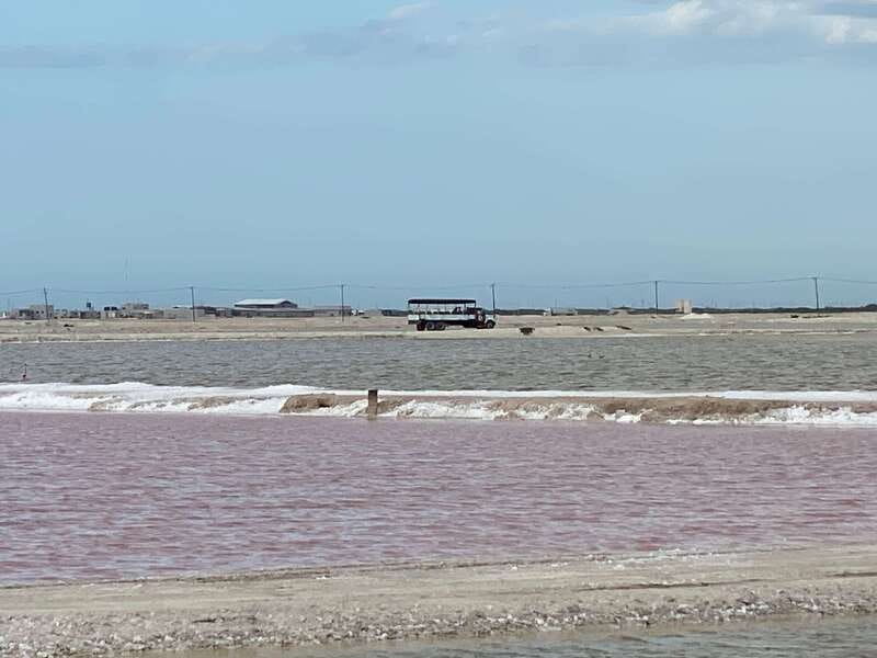 Río Lagartos and Las Coloradas: Wildlife Natural Experience - What the 3,500 MXN group price really means